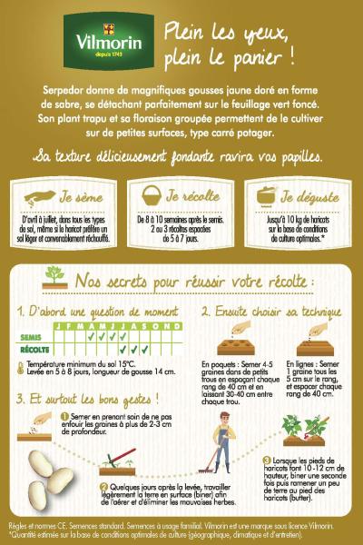 Légumes Secs - Haricot Nain Plat Beurre Serpedor - 10 m - MEDIA_PACKAGING_VERSO